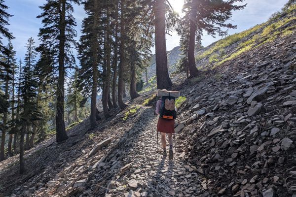 Day 12 on the Tahoe Rim Trail: Trying not to fall over
