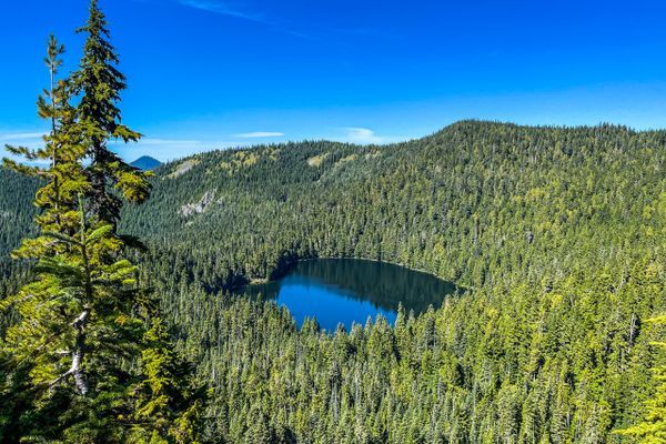 The Wonderful Wonderland Trail Day 4: Is this Luxury Hiking?