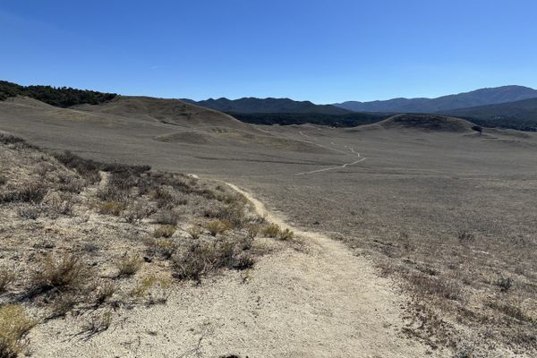 Oh Crap – The Real World!