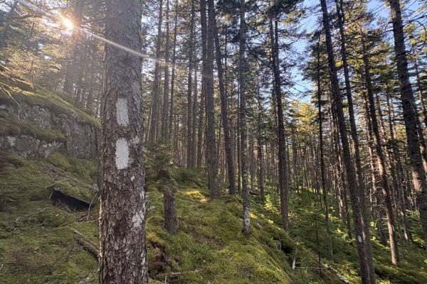 I Climbed Katahdin and Now I Need Therapy….. Again