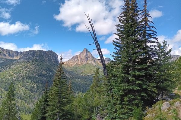 Long Days in the Pasayten Wilderness