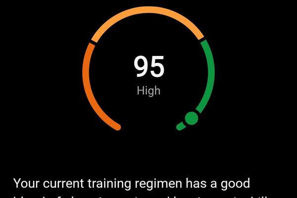 Post Hike Exercise Analysis: Long-Distance Hiking is a Lot of Work and You Can Get Burned Out