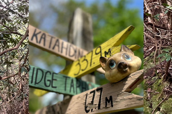 Appalachian Trail Recap: Zero to Hero Pt. 2