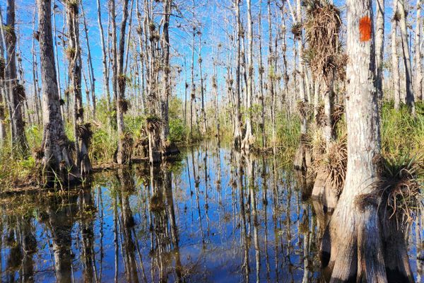 Florida Trail 2026 – Day 1 – This Is Crazy