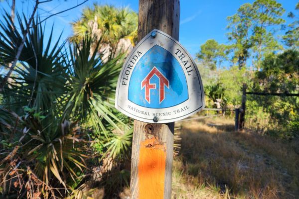 Florida Trail 2026 – Day 2 – Will I Ever Get Out?