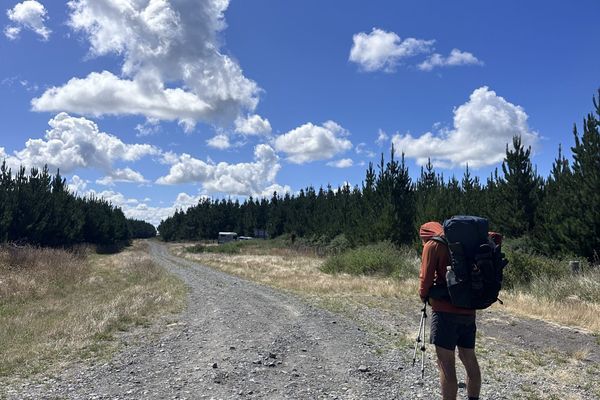 Day 50 on Te Araroa