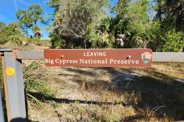 Florida Trail 2026 – Day 4 – Feels like Jurassic Park