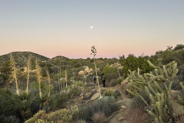 PCT SOBO DAY 132 – Eyes in the Dark