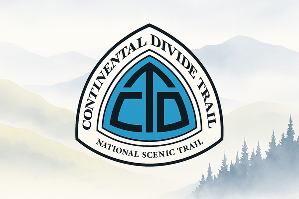 CDT 101