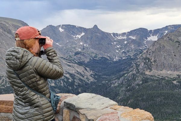 Why My Trail Name is Bird Detective