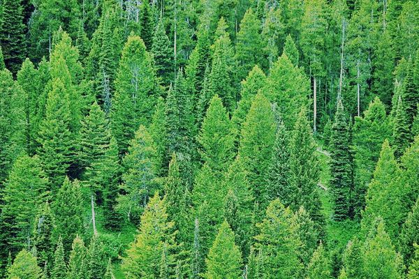 Why in the hell am I doing this?