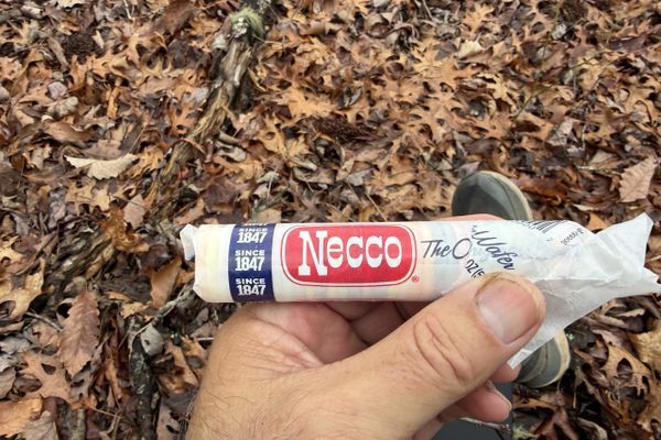 Why Am I So Emotional About Necco Wafers?