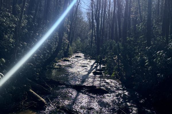 Springer to Dick’s Creek (99% Joy.  1% Dumbass)