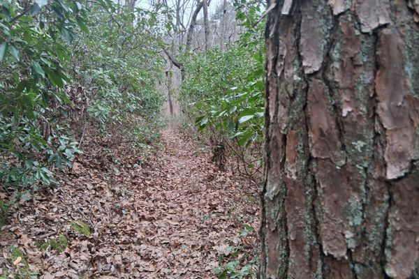 I almost canceled my hike: a love story