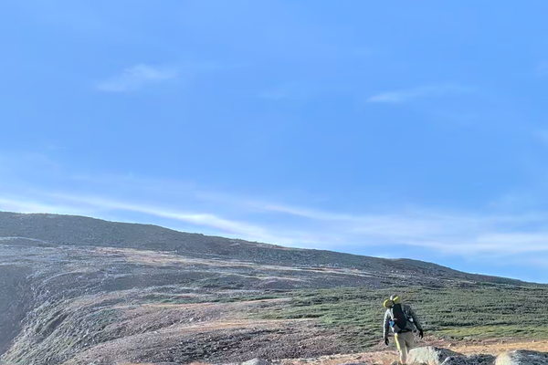 I Just Really Like Walking