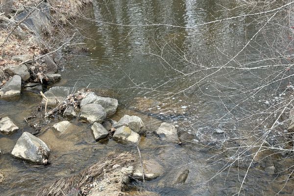 2026 PCT Hike – Less than 30 Days from my start