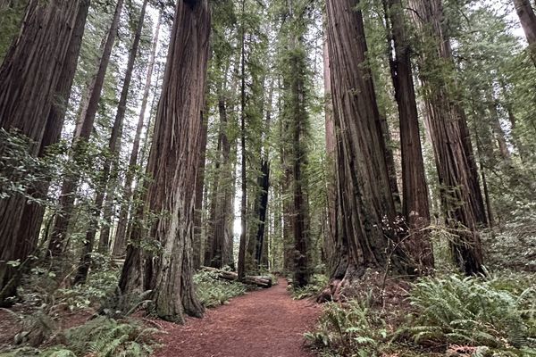 25 Goals for My PCT Thru-Hike