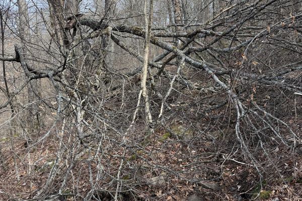 If You Solve Enough Problems, You Get To Mount Katahdin