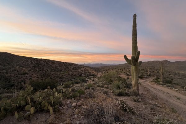 An Update From The Hottest Trail In The World