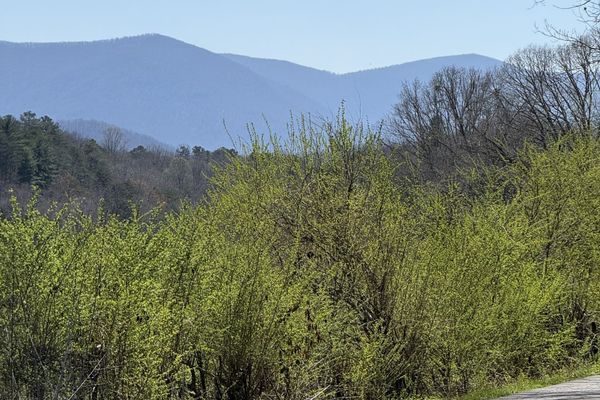 Bama to Baxter, Day 24:   Good Intel on Trail
