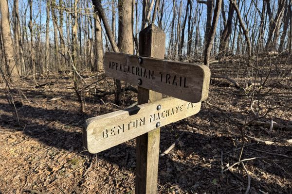 Bama to Baxter, Day 27:   Almost to Amicalola Falls State Park