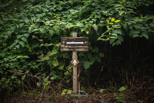 An Open Letter to the ATClass of 26