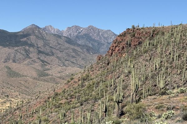 AZT: Lake Roosevelt to Payson