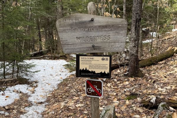 Training For The Long Trail