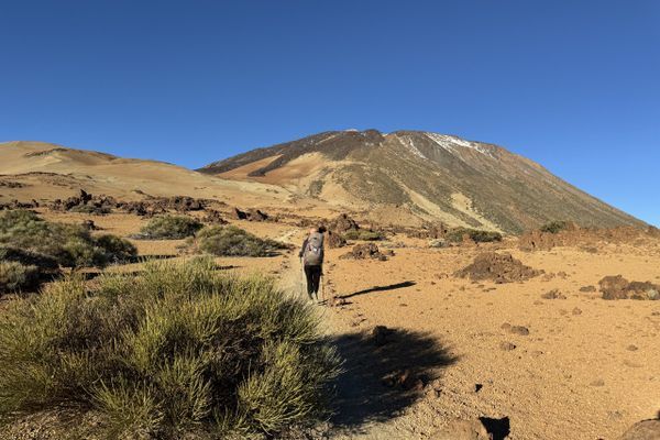 GR 131: Forests, Lava, and Mount Teide on Tenerife