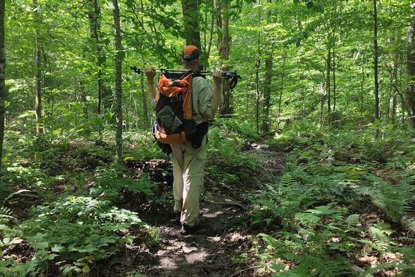 Navigating the IAT-NB: Strategies, Tactics and Resilience