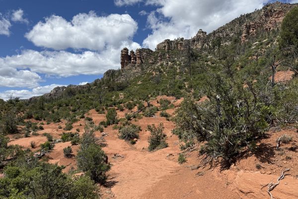 AZT: Pine to Flagstaff