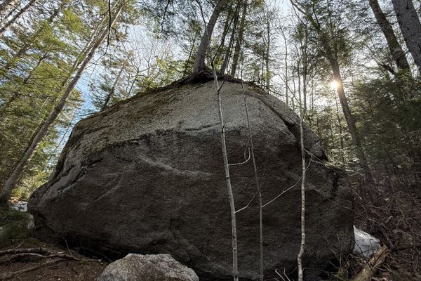 Training for the Long Trail