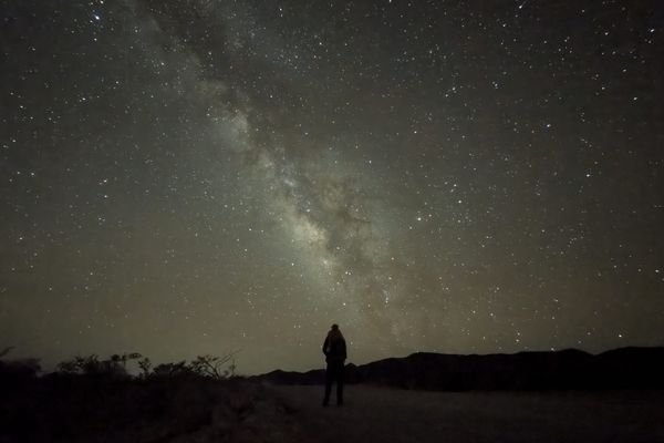 Coming to terms with reality