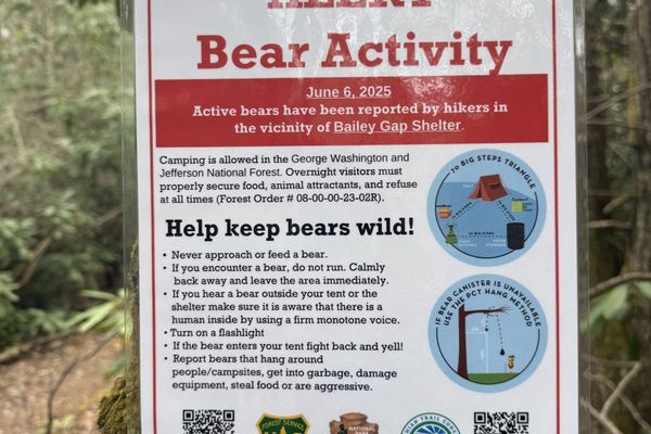 My First Bear Encounter on the AT