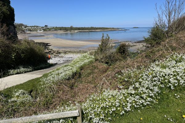 A Short Walk on the Beach