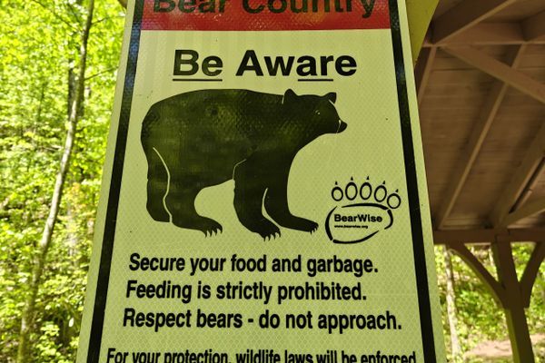 Day 3: Bear trouble past Neel Gap
