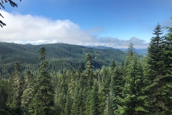 Meet Gritt: The Slow Section Hiker Tackling Washington State Along PCT
