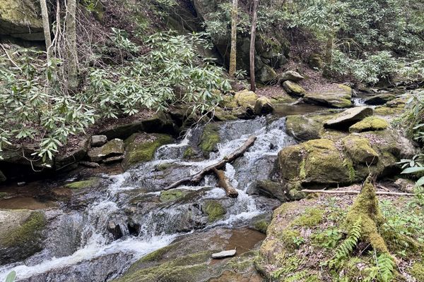 Big Miles In Tennessee: Elk River, Laurel Fork