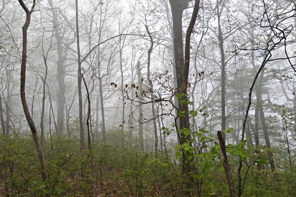 Day 6: A push into Dick’s Creek Gap
