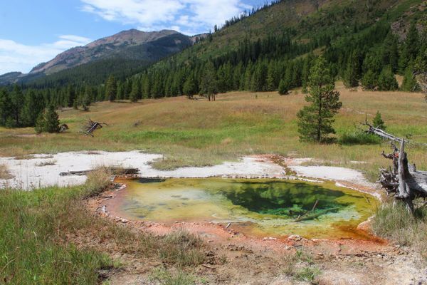 Bear Attack Closes Section of the Continental Divide Trail