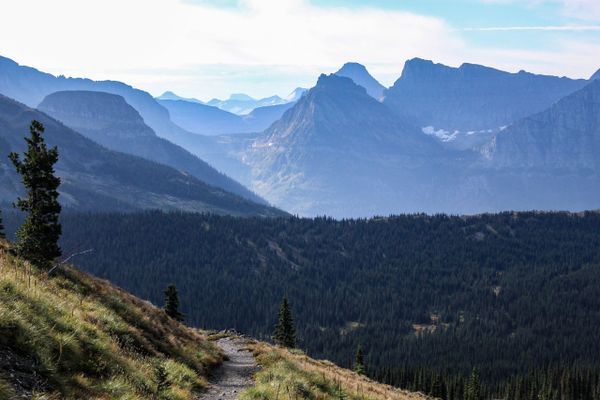 Fatal Bear Attack in Glacier National Park Suspected After Finding Remains of Missing Hiker