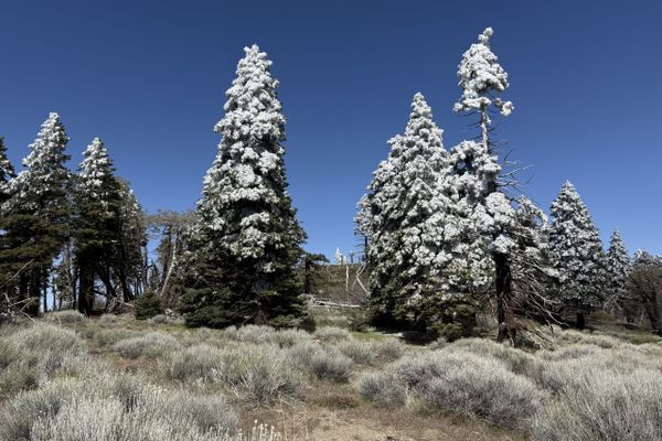PCT days 9-12: Idyllwild to Cabazon
