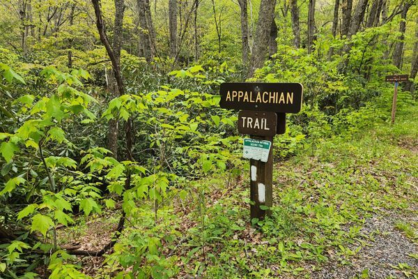 Gross and Embarrassing Things That I Did On Trail