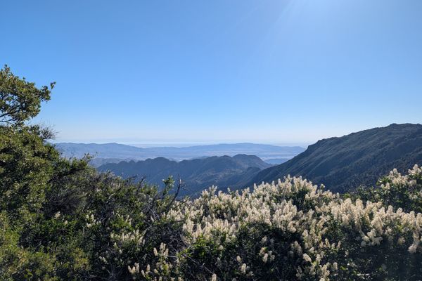 Trail Update #1: A Week of Firsts