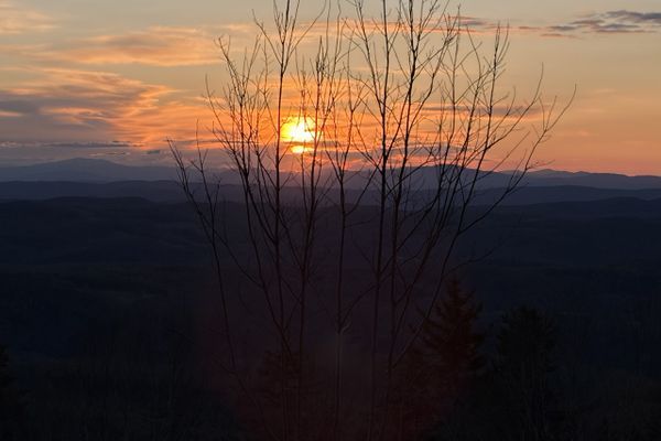 Vermont Gets Wild