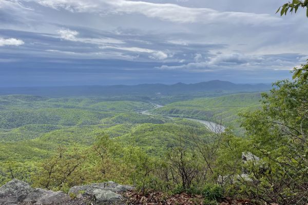 Reclaiming Virginia