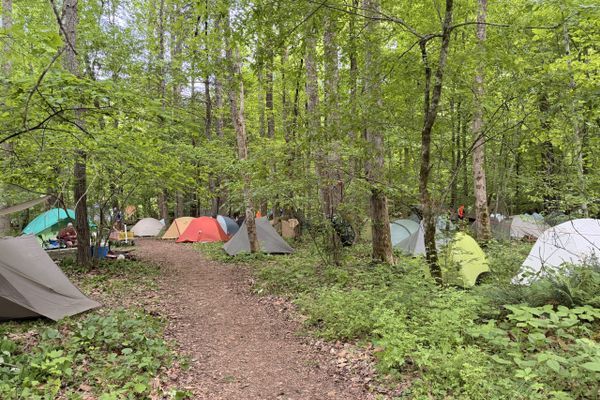 Was It Worth It? Trail Days as a Thru-Hiker