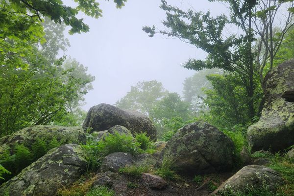 Reporting From the Depths of the Virginia Blues