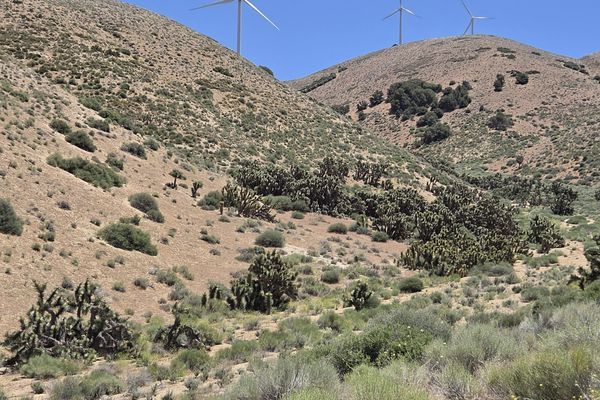 PCT Week 6: Mile 506-613