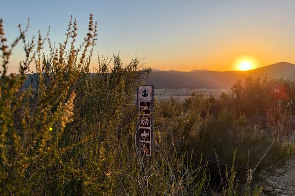 PCT Day 2 – The Human Equivalent of a Burnt Piece of Toast